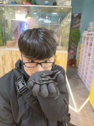 -神奇动物撸宠馆·羊驼·小浣熊·异宠(豫园店)