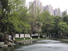 -温江公园