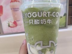 -一只酸奶牛(时代天街A馆店)