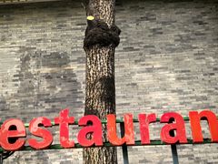 -申德勒加油站西餐厅(日坛路总店)