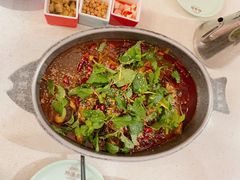 黄辣丁-黔渔翁豆花渎鱼(喷水池店)
