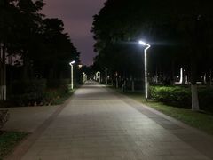 -万绿园