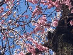 -吉林大学(南岭校区)