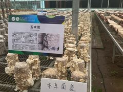 -长春农博园