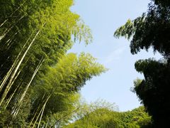 -宁海安岚·南溪阁全日餐厅