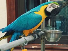 -观桥阁(锦溪店)