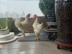 -新荟城(望京店)