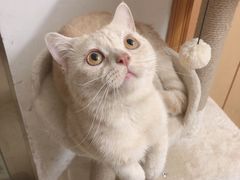 -Catmate·猫肥家润(金润铂宫店)