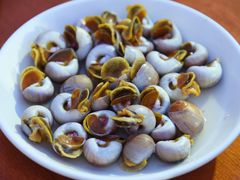 -胖大嫂渔家排档·全海景餐厅(渔村店)