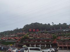 -枇杷园食为鲜火锅(南山店)