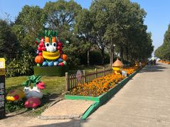 -上海都市菜园