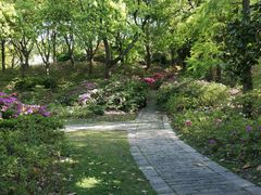 -上海滨江森林公园