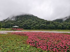 -广州市石门国家森林公园