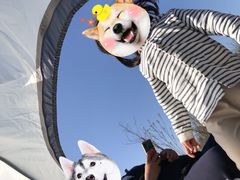 -天津东丽湖风景区