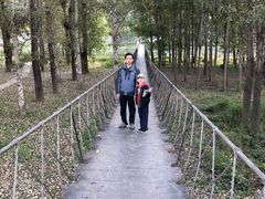 -白河湾生态旅游一条川