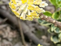 -龙湖冠寓(上海闵行星悦荟店)