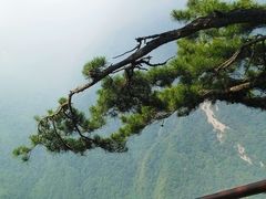 -陕西省红河谷森林公园
