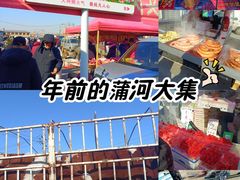 -蒲河大集