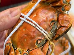 -黄记大闸蟹专卖店·活蟹·醉蟹