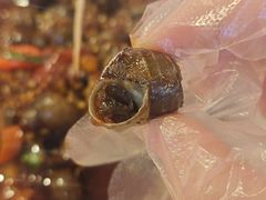 -老闵田螺馆·南昌市井菜·特色小吃(总店)