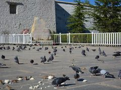 -宗角禄康公园