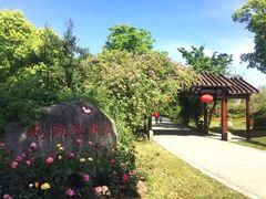 -鹅湖玫瑰文化园