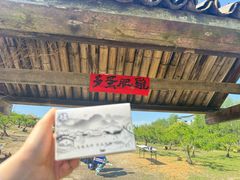 -乌村