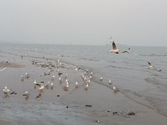 -南戴河旅游度假区