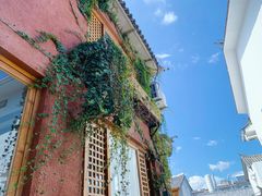 -唐咖精品咖啡(大理古城手冲店)