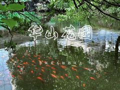 -复旦大学附属华山医院(总院)