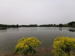 -东郊湿地公园