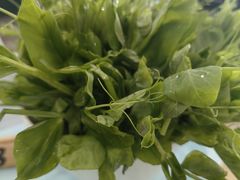 -金记猪肚鸡(琅西店)