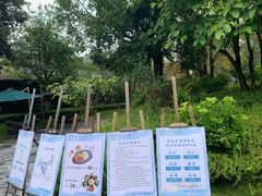 -腾冲洞山温泉村