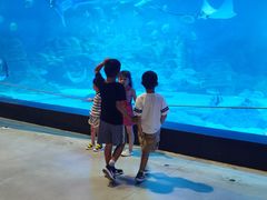 -烟台海昌鲸鲨海洋公园