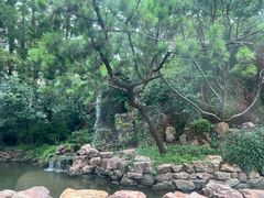 -棕榈岛海鲜自助餐厅(虹桥迎宾馆店)