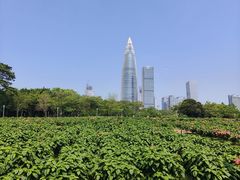 -深圳湾公园(南山区)