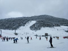 -太子岭滑雪场