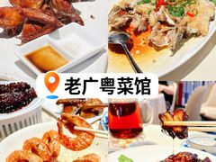 -侨美食家·粤菜(体育西路店)