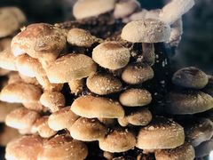-捞神汤物料理(正大广场店)