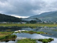 -腾冲北海湿地