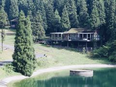 -武陵山森林公园