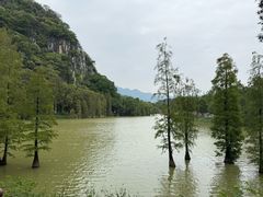 -星湖旅游景区七星岩
