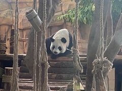 -泉州海丝野生动物世界