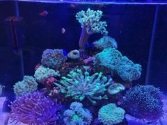 -Rabbit Cafe私房西餐甜点咖啡(栖霞路店)