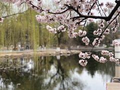-满都海公园