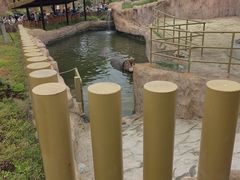 -武汉动物园