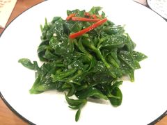 -巴依老爷新疆美食(望京小街店)