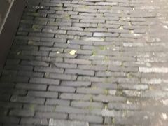 -水绘园