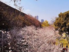 -南京城墙景区