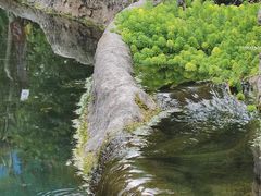 -成都市活水公园